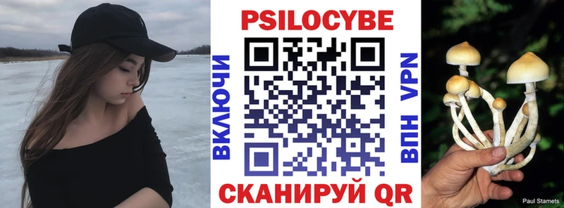 Псилоцибиновые грибы Psilocybe  mega ссылка  Анапа 